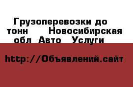 Грузоперевозки до 5 тонн!!! - Новосибирская обл. Авто » Услуги   